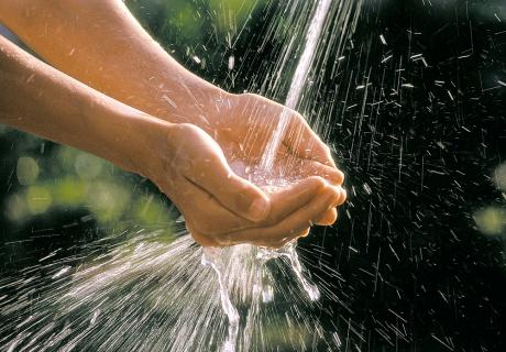 Sección de una placa solar para climatizar el agua de la piscina